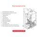 Одноконтурный конденсационный газовый котел Protherm Panther Condens 25 KKO-CS/1 (N-INT) (Пантера Конденс) (0010025160) 0010025160 фото 4